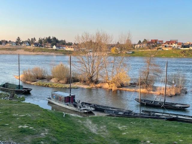 Evasion De Loire Bed & Breakfast Jargeau Exterior foto